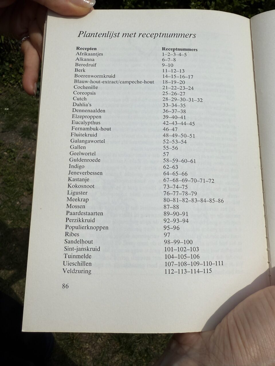 IMG 2756