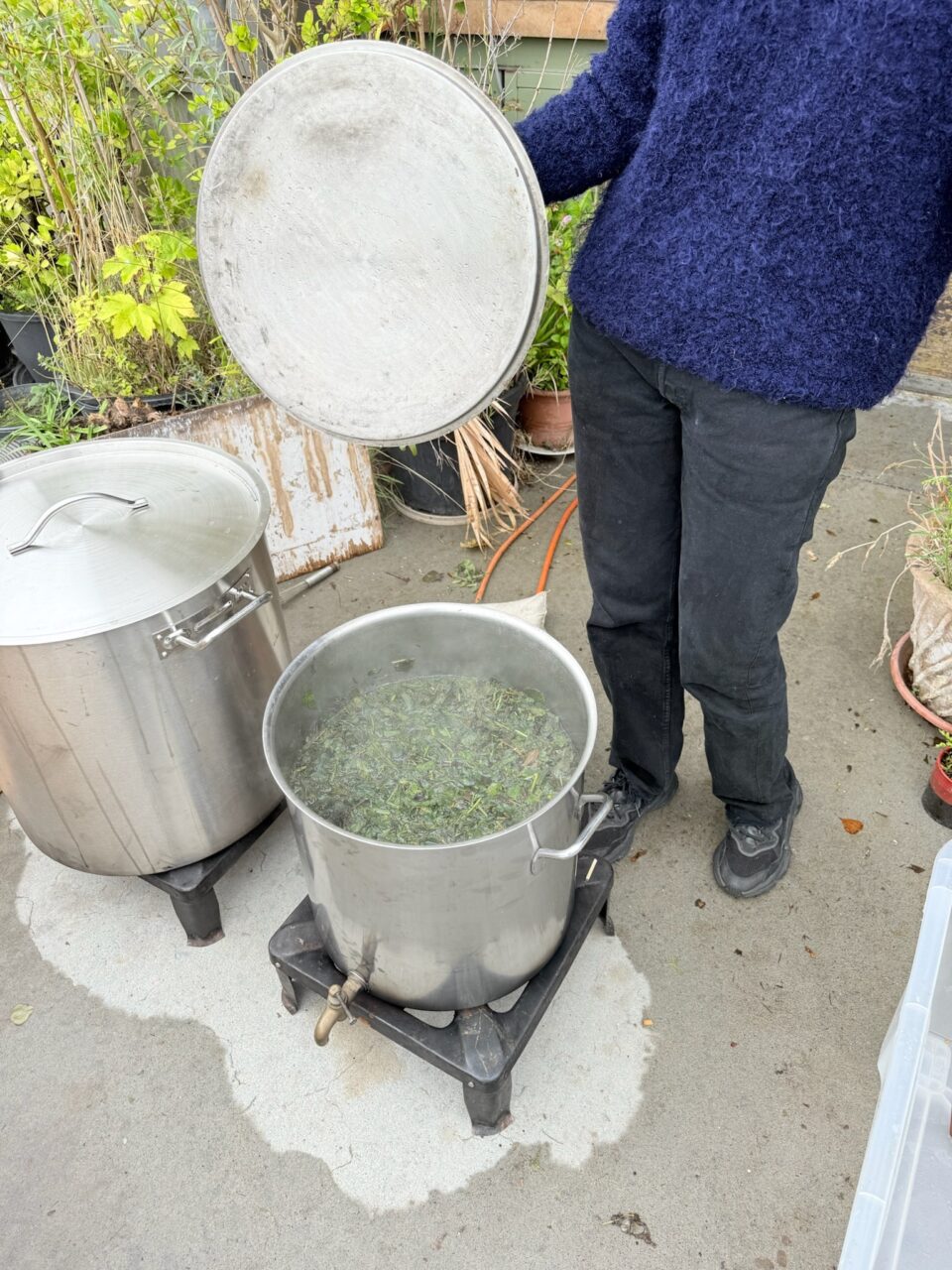 IMG 7372